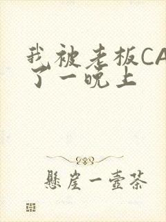 我被老板CAO了一晚上