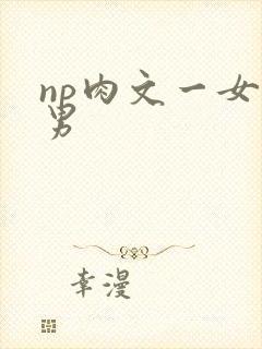 np肉文一女多男
