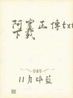 阿宾正传txt下载