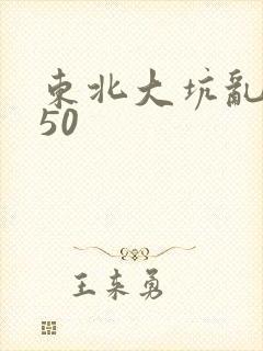 东北大坑乱1—50