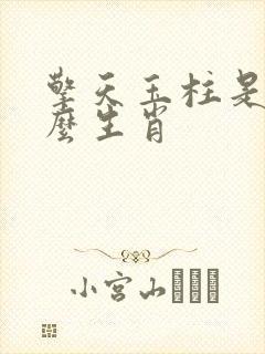 擎天玉柱是指什么生肖