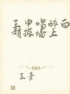 王申喝醉白洁被赵振墙上