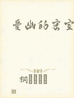 爱幽的密室小说