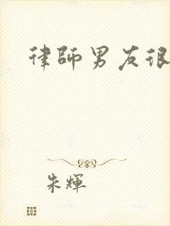 律师男友很难撩