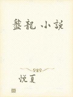 盘龙 小说