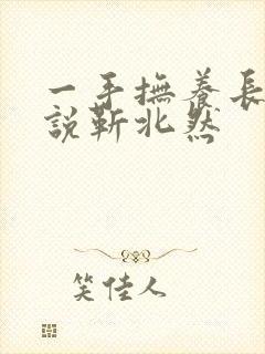 一手抚养长大小说靳北然