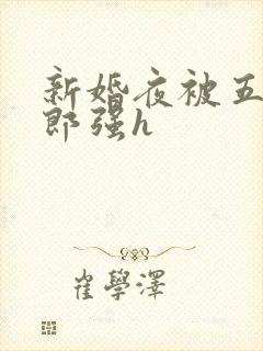 新婚夜被五个伴郎强h