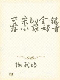 可宋by金银花露小说好看吗