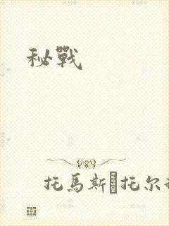 秘战
