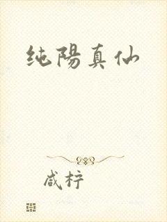 纯阳真仙