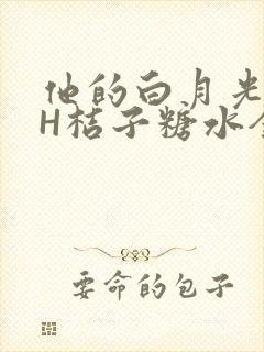 他的白月光HVH桔子糖水全文