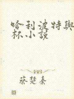 哈利波特与火焰杯小说