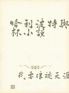 哈利波特与火焰杯小说