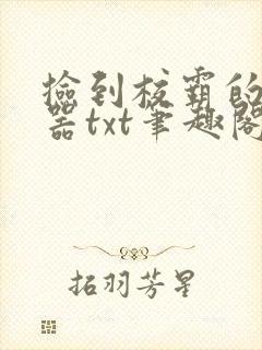 捡到校霸的遥控器txt笔趣阁