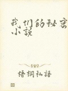 我们的秘密泰剧小说