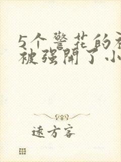 《5个警花的初苞被强开了小说》小说封面