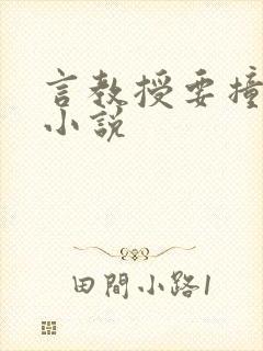 言教授要撞坏了小说