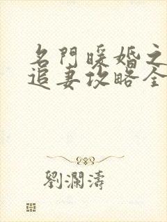 名门暖婚之权爷追妻攻略全文免费阅读