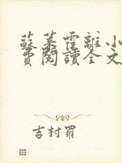 苏莱霍离小说免费阅读全文封面