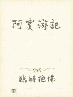 阿宾游记