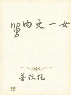 np肉文一女多男