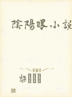 阴阳眼小说