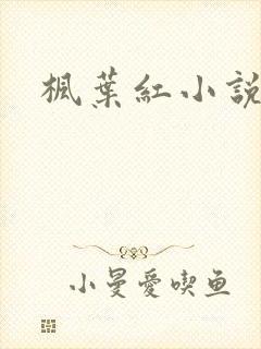 枫叶红小说
