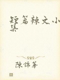 短篇辣文小说合集