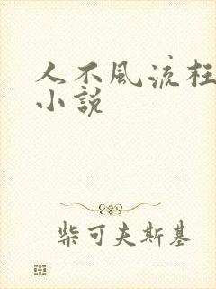 人不风流枉少年小说