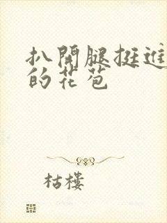 扒开腿挺进湿润的花苞