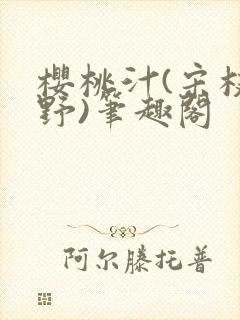 樱桃汁(宋枝江野)笔趣阁