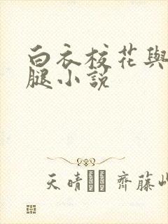 白衣校花与大长腿小说