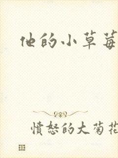 他的小草莓