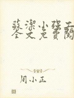 苏洁小强工地情全文免费阅读