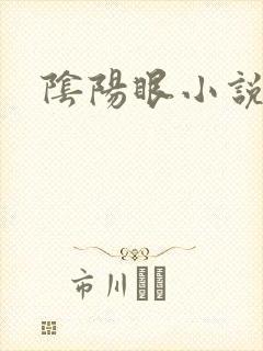 阴阳眼小说