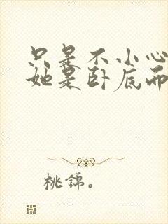 只是不小心发现她是卧底而已