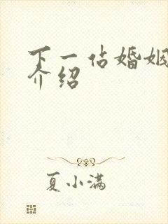 下一站婚姻剧情介绍