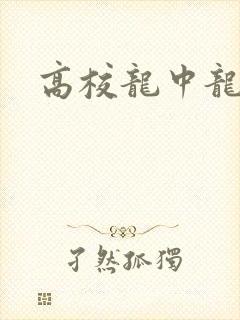 高校龙中龙