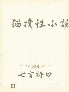 猫扑性小说
