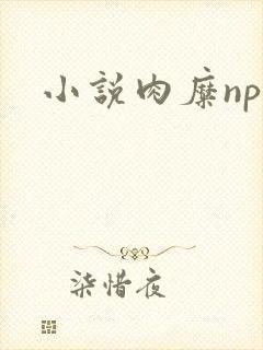 小说肉糜np