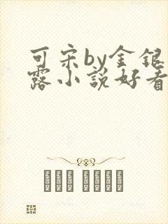 可宋by金银花露小说好看吗