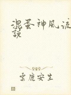 混蛋神风流史小说