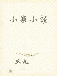 小米小说