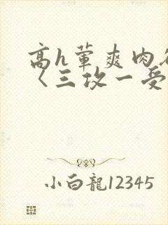 高h荤爽肉欲文〈三攻一受