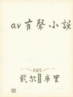 av有声小说