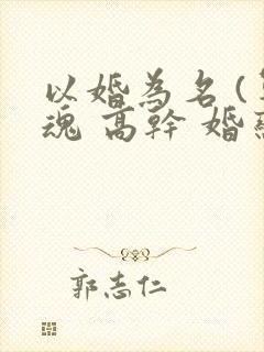 以婚为名 (军魂 高干 婚恋)