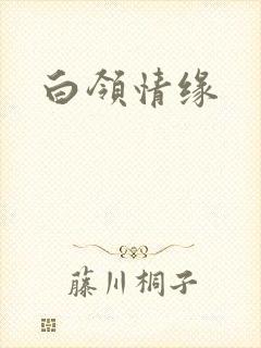 白领情缘