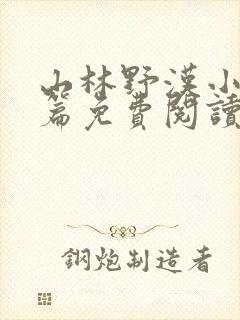 山林野汉小说全篇免费阅读