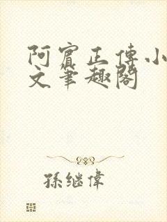 阿宾正传小说全文笔趣阁