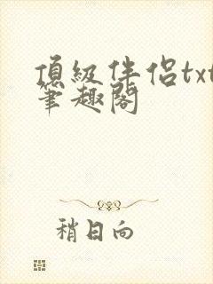 顶级伴侣txt笔趣阁